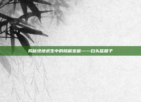 揭秘绝地求生中的隐藏宝藏——白头盔箱子