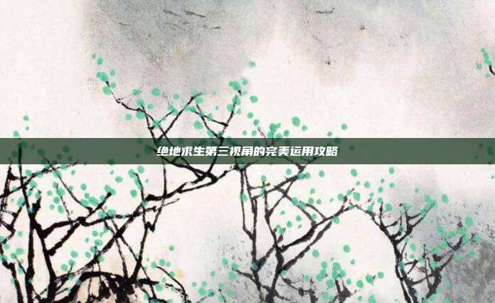 绝地求生第三视角的完美运用攻略