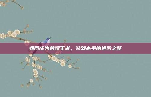 如何成为荣耀王者,游戏高手的进阶之路