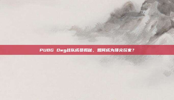 PUBG Dwg战队成员揭秘,如何成为顶尖玩家?