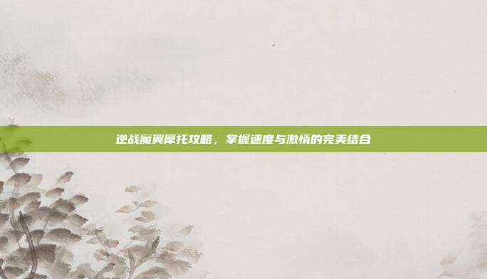 逆战魔翼摩托攻略,掌握速度与激情的完美结合