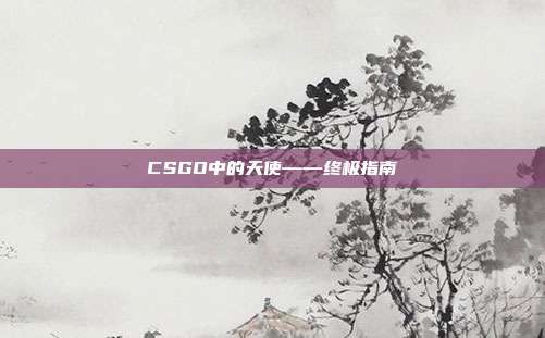 CSGO中的天使——终极指南