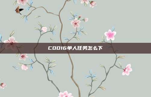 COD16单人任务怎么下