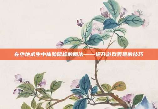 在绝地求生中体验鼠标的魔法——提升游戏表现的技巧