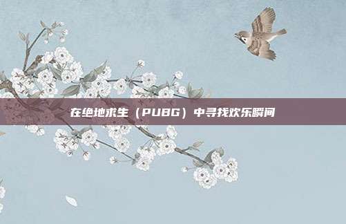 在绝地求生（PUBG）中寻找欢乐瞬间