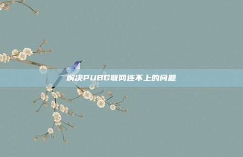 解决PUBG联网连不上的问题