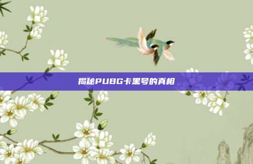 揭秘PUBG卡黑号的真相