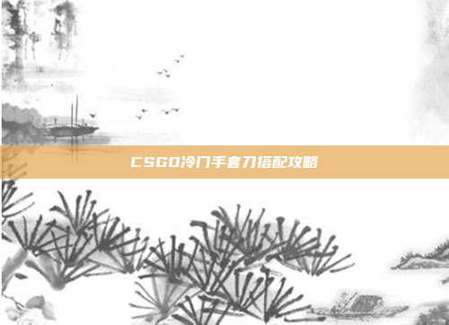CSGO冷门手套刀搭配攻略