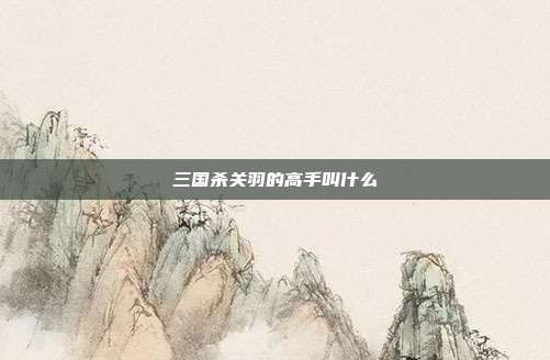 三国杀关羽的高手叫什么