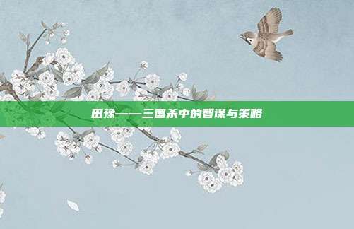 田豫——三国杀中的智谋与策略