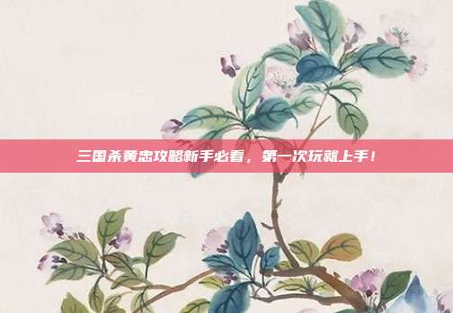 三国杀黄忠攻略新手必看,第一次玩就上手!