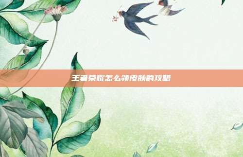 王者荣耀怎么领皮肤的攻略