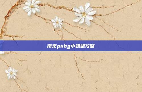 南京pubg小姐姐攻略