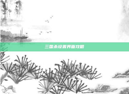 三国杀设置界面攻略
