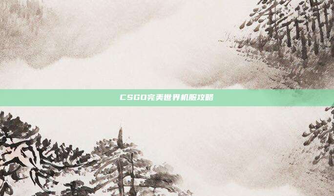 CSGO完美世界机服攻略