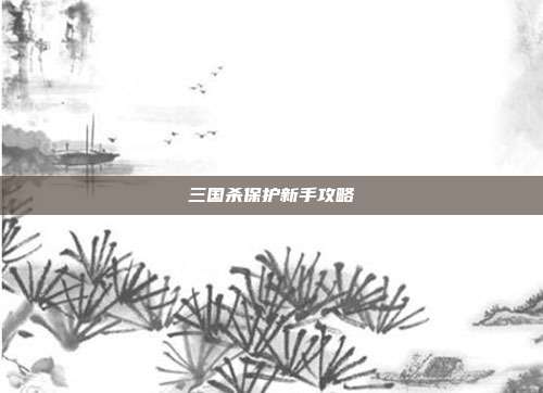 三国杀保护新手攻略