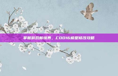 掌握游戏新境界,COD16模型修改攻略