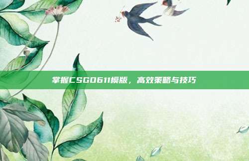 掌握CSGO611模版,高效策略与技巧