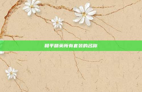和平精英所有套装的名称