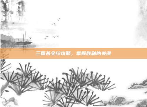 三国杀全综攻略,掌握胜利的关键