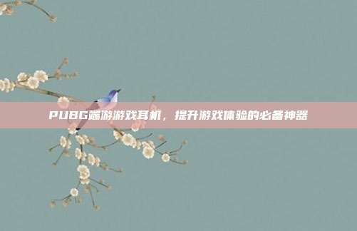 PUBG端游游戏耳机，提升游戏体验的必备神器
