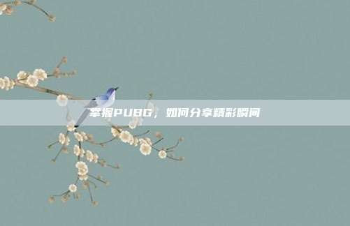 掌握PUBG，如何分享精彩瞬间