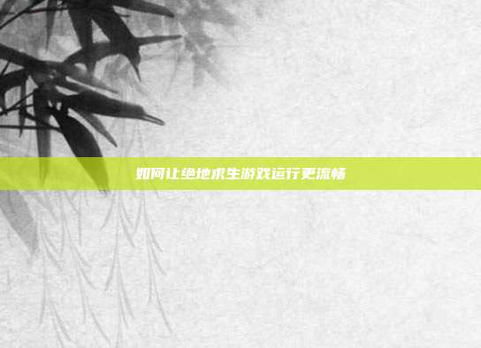 如何让绝地求生游戏运行更流畅