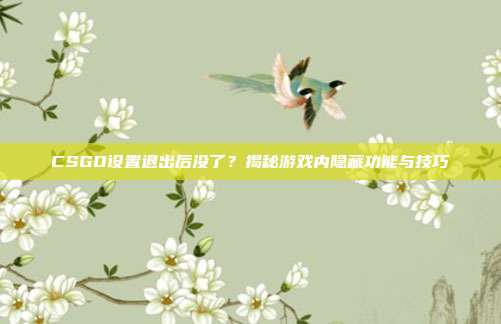 CSGO设置退出后没了？揭秘游戏内隐藏功能与技巧