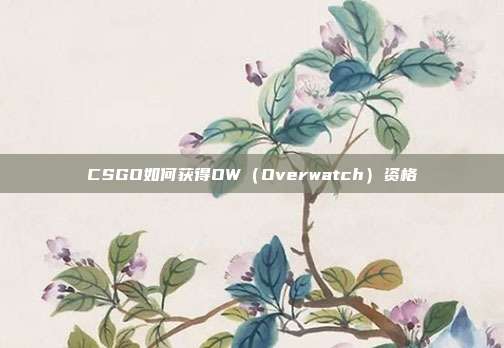 CSGO如何获得OW（Overwatch）资格