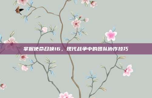 掌握使命召唤16,现代战争中的团队协作技巧