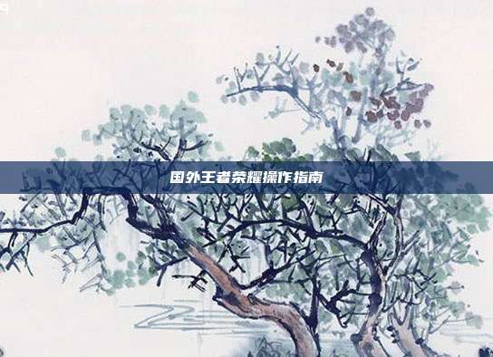 国外王者荣耀操作指南