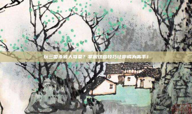 玩三国杀被人骂菜?掌握这些技巧让你成为高手!