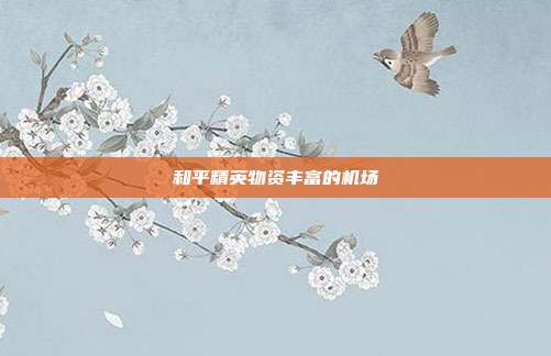 和平精英物资丰富的机场