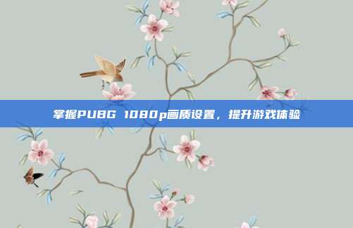 掌握PUBG 1080p画质设置,提升游戏体验