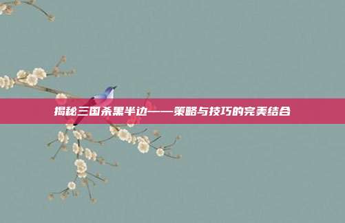 揭秘三国杀黑半边——策略与技巧的完美结合