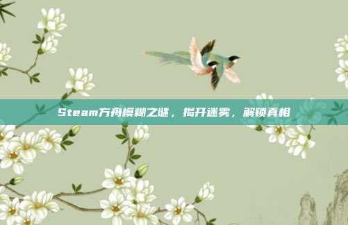 Steam方舟模糊之谜,揭开迷雾,解锁真相