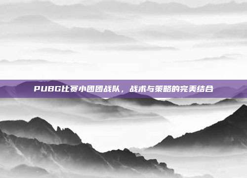 PUBG比赛小团团战队,战术与策略的完美结合