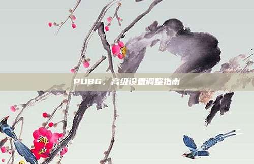 PUBG,高级设置调整指南