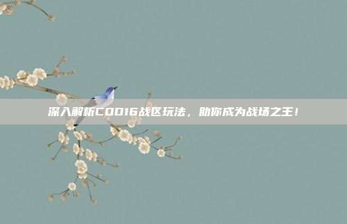 深入解析COD16战区玩法,助你成为战场之王!