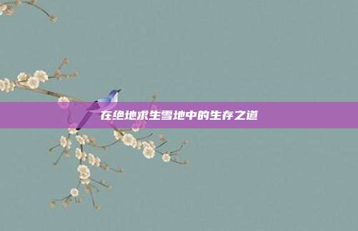 在绝地求生雪地中的生存之道