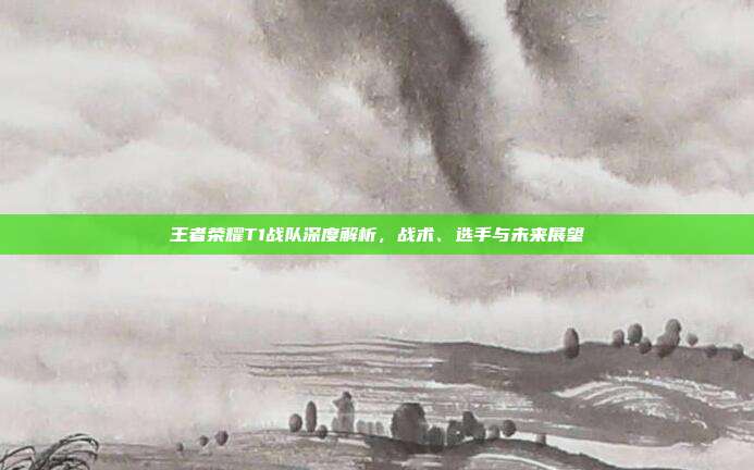 王者荣耀T1战队深度解析,战术、选手与未来展望
