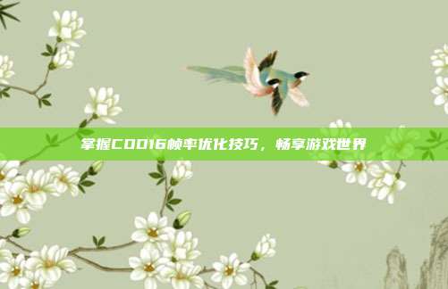 掌握COD16帧率优化技巧,畅享游戏世界