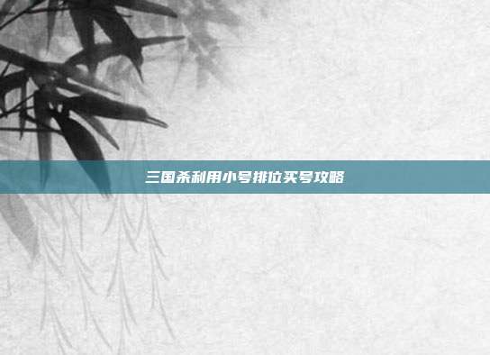 三国杀利用小号排位买号攻略