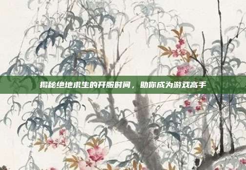 揭秘绝地求生的开服时间,助你成为游戏高手