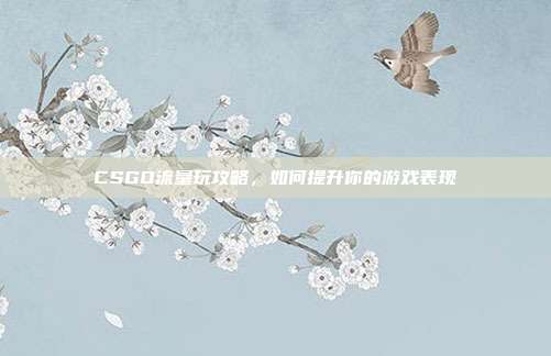 CSGO流量玩攻略,如何提升你的游戏表现