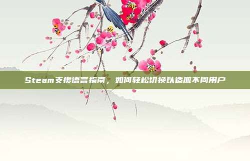 Steam支援语言指南,如何轻松切换以适应不同用户
