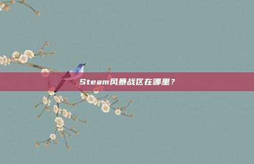 Steam风暴战区在哪里?