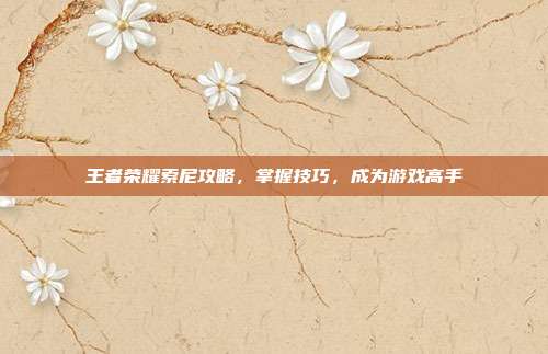 王者荣耀索尼攻略,掌握技巧,成为游戏高手
