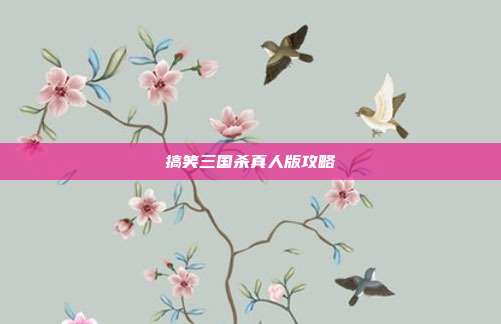 搞笑三国杀真人版攻略