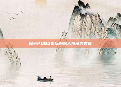探索PUBG国际服超大视角的奥秘